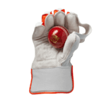 5201 Mana Plus wkt ball RT